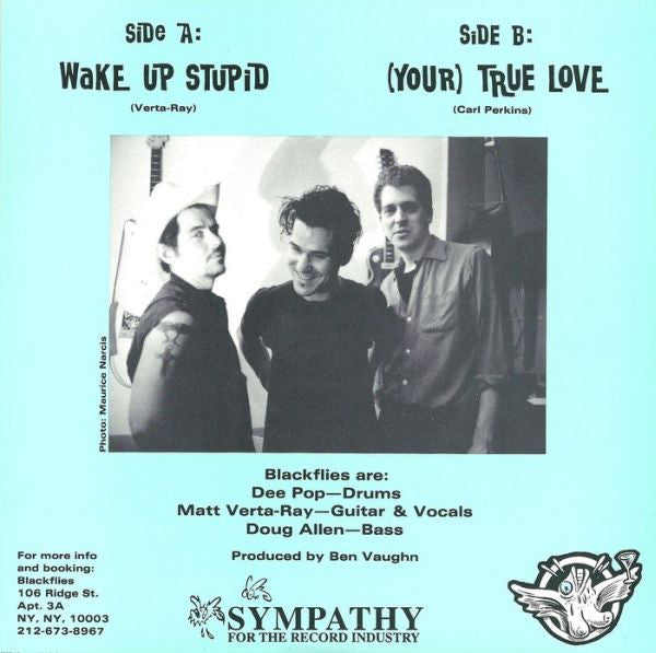 Blackflies : Wake Up Stupid (7", Single)