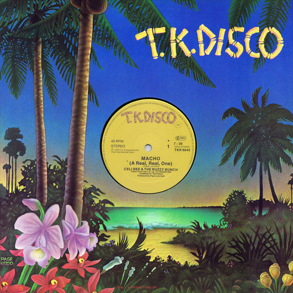 Celi Bee & The Buzzy Bunch : Macho (A Real, Real, One) (12")