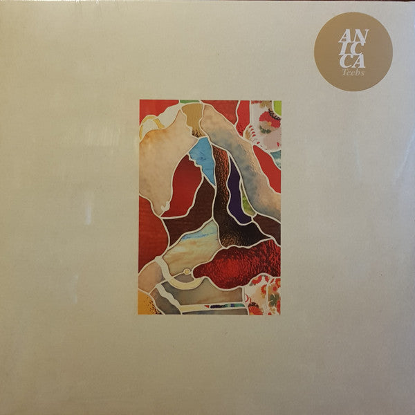 Teebs : Anicca (LP, Album)
