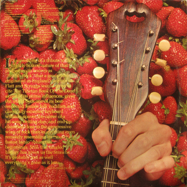 Strawbs : The Best Of Strawbs (2xLP, Album, Comp, Gat)