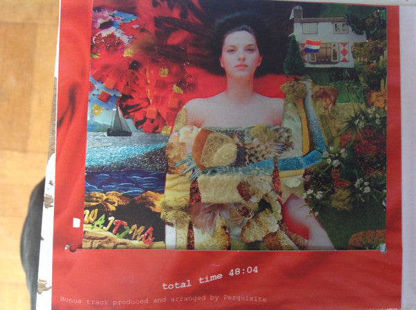 Renske Taminiau : Waiting To Be Told (CD, Album, Dig)