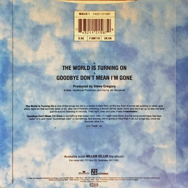 The Pooh Sticks : The World Is Turning On (7", Single, Ltd, Blu)