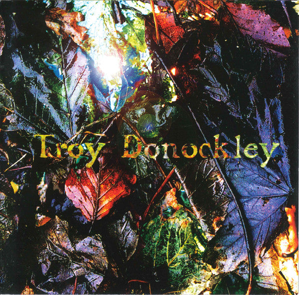Troy Donockley : The Unseen Stream (CD, Album)