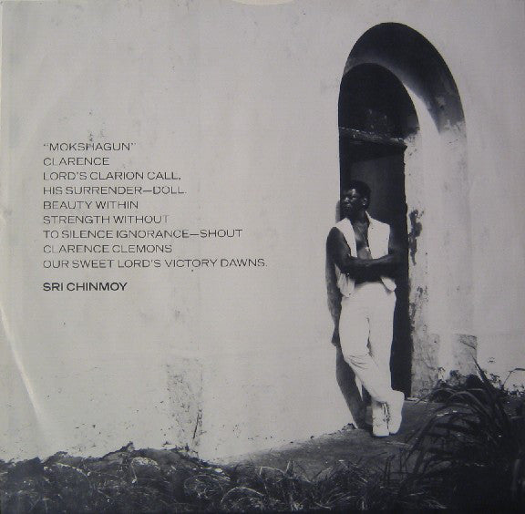 Clarence Clemons : Hero (LP, Album)