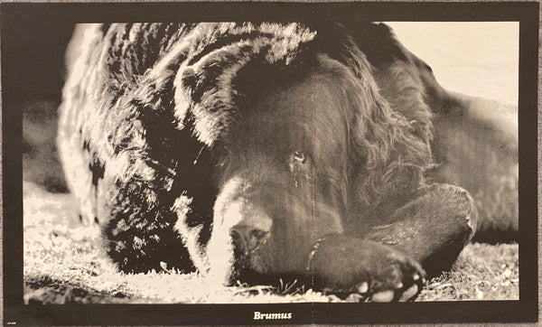 Jefferson Airplane : Crown Of Creation (LP, Album, RP, Ind)