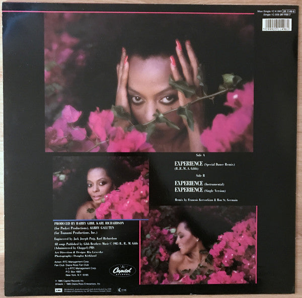 Diana Ross : Experience (12", Maxi)