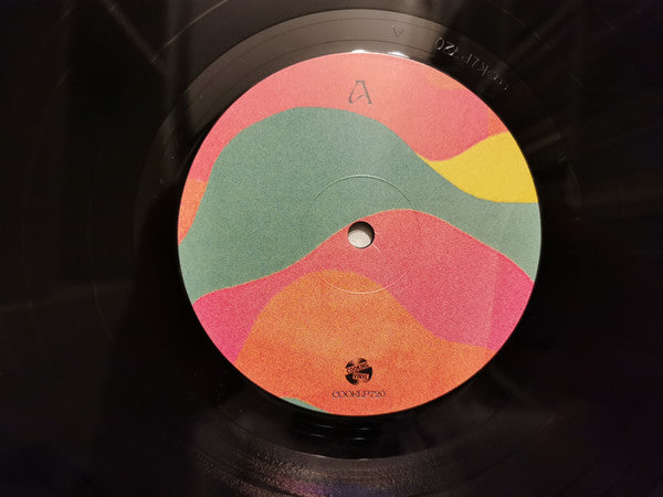 Isobel Campbell : There Is No Other... (LP, Album, Ltd, Hea)