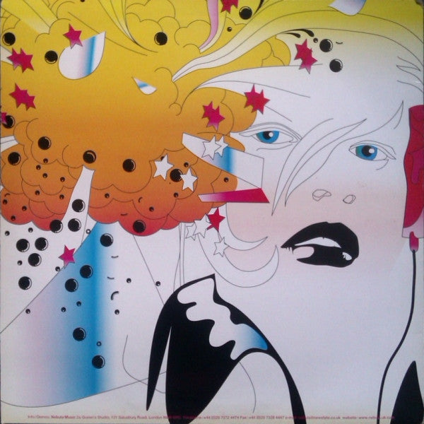 DJ Hitch Hiker Presents Lunatic Asylum : Meltdown 2000 (12")