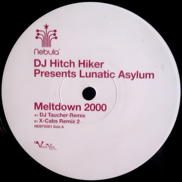 DJ Hitch Hiker Presents Lunatic Asylum : Meltdown 2000 (12")