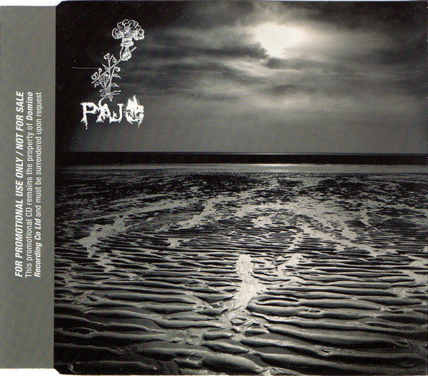 David Pajo : Pajo (CD, Album, Promo)