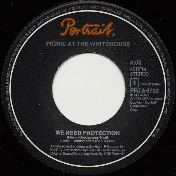 Picnic At The Whitehouse : We Need Protection (7", Single)