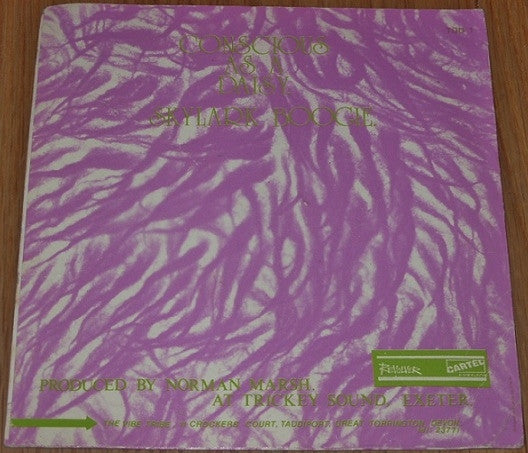 Vibe Tribe (8) : Skylark Boogie / Conscious As A Daisy (7", Single)