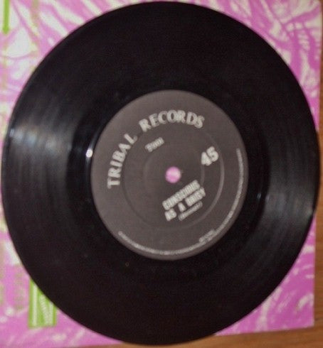 Vibe Tribe (8) : Skylark Boogie / Conscious As A Daisy (7", Single)