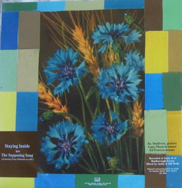 Azalia Snail : Staying Inside (7")