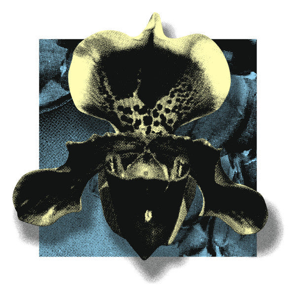 Various : Nowhere02 - Vinyl Sampler (12", Ltd, Smplr)