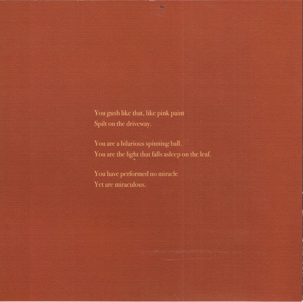 The Cave Singers : Welcome Joy (CD, Album)