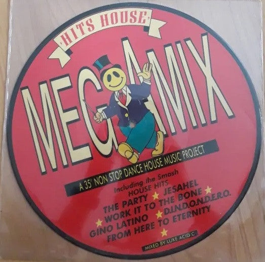 Various : Hits House Megamix (12", Pic)