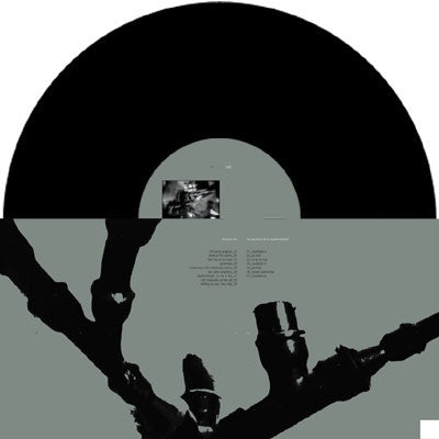 Tempers Rise / Los Asesinos De La Superficialidad : Tempers Rise / Los Asesinos De La Superficialidad (LP)