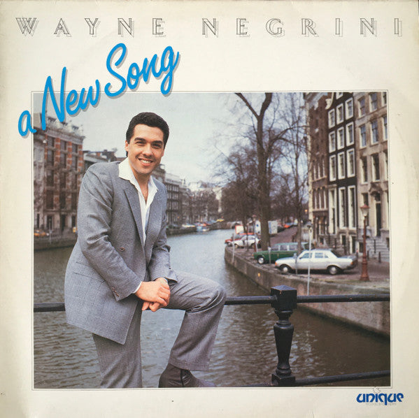 Wayne Negrini : A New Song (LP, Album)