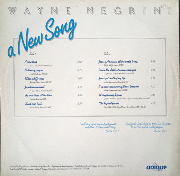 Wayne Negrini : A New Song (LP, Album)