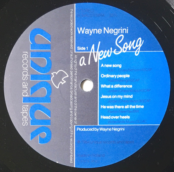 Wayne Negrini : A New Song (LP, Album)