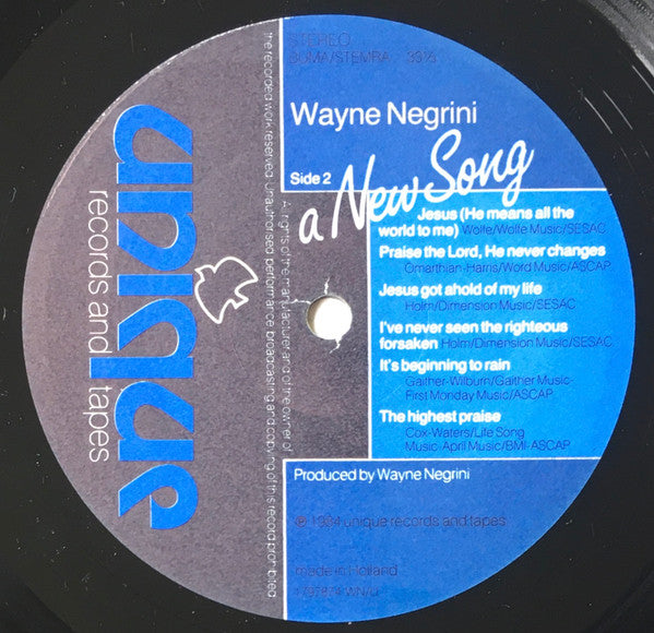 Wayne Negrini : A New Song (LP, Album)