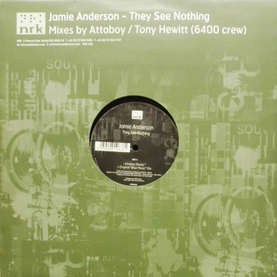 Jamie Anderson : They See Nothing (12")