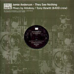 Jamie Anderson : They See Nothing (12")