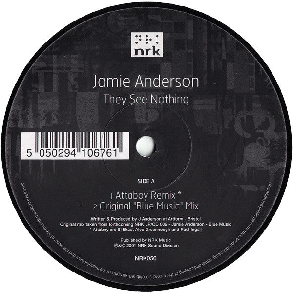 Jamie Anderson : They See Nothing (12")