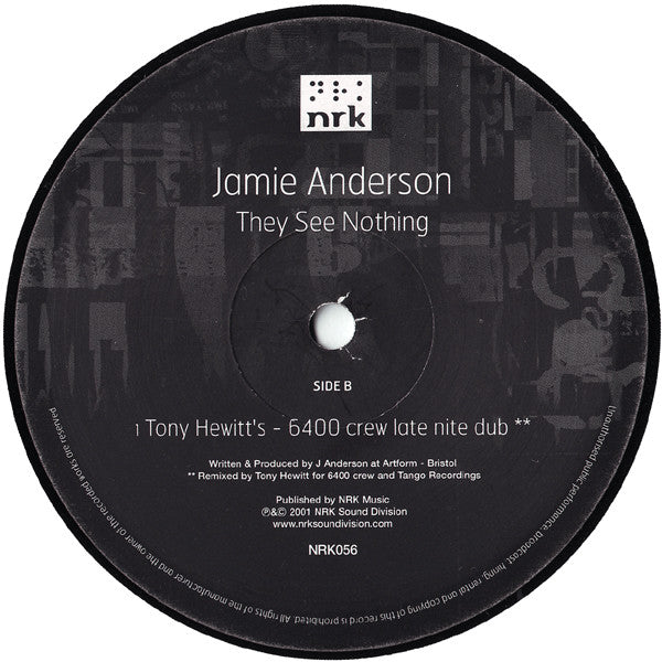 Jamie Anderson : They See Nothing (12")