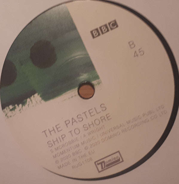 The Pastels : Advice To The Graduate (7", RSD)