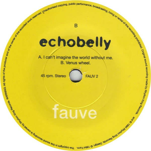Echobelly : I Can't Imagine The World Without Me (7", Single)