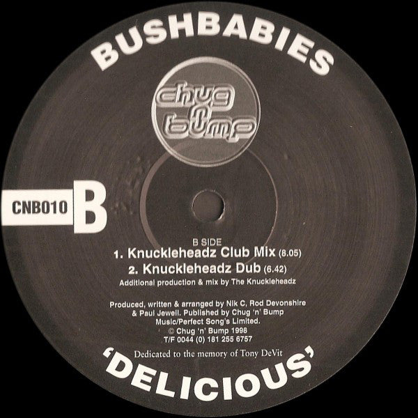 Bush Babies : Delicious (12")