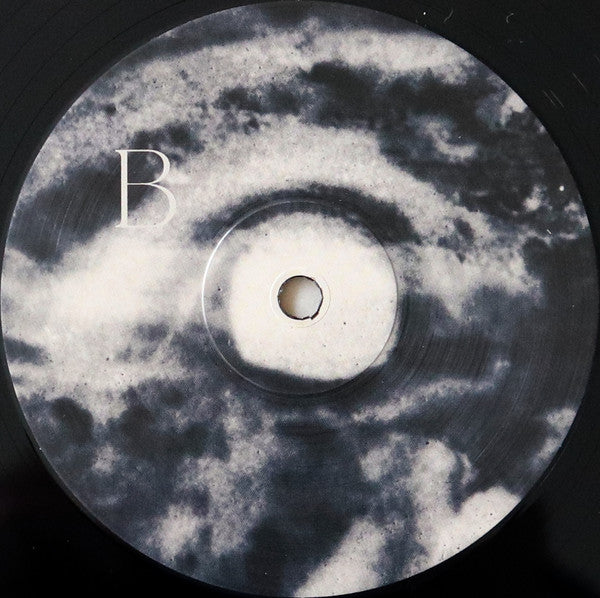 Anna von Hausswolff : All Thoughts Fly (LP, Album)