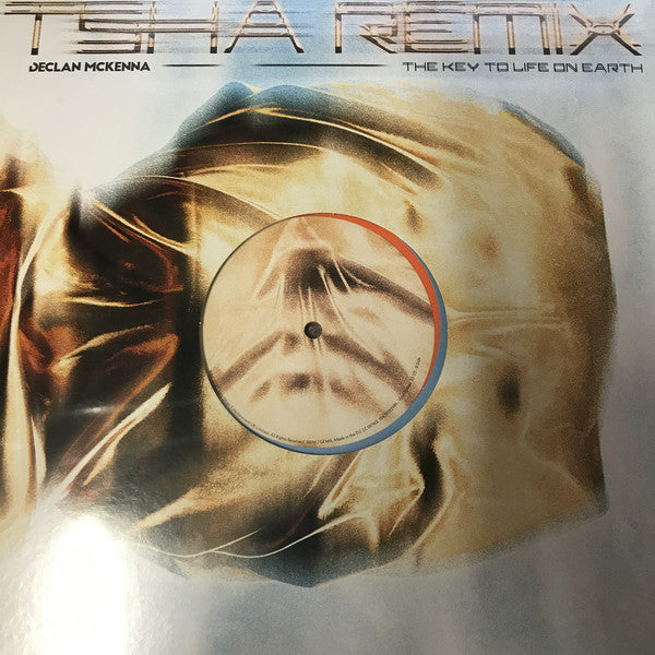 Declan McKenna : Beautiful Faces / The Key To Life On Earth (Record Store Day 2020) (12", RSD, Single, Ora)