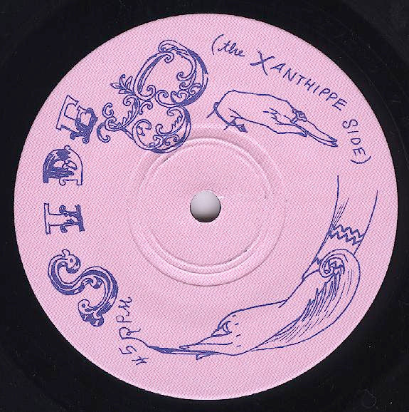 Dame Darcy : Mexican Crawling Poppy Seed (7")