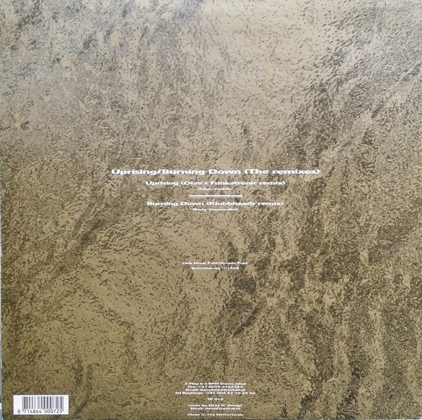 Silvio Ecomo / D-Tune (3) : Uprising/Burning Down (The Remixes) (12")