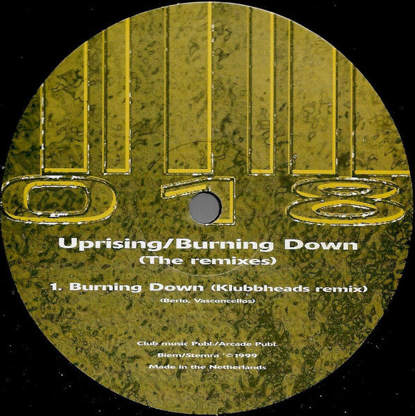 Silvio Ecomo / D-Tune (3) : Uprising/Burning Down (The Remixes) (12")