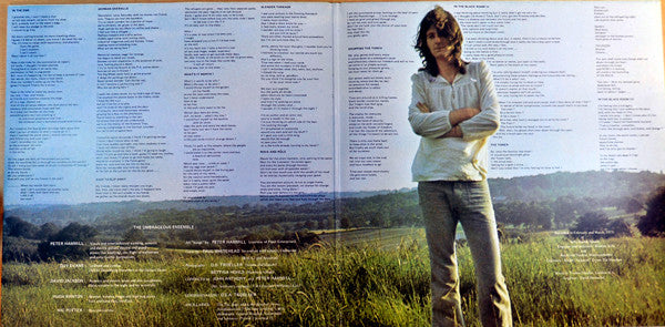 Peter Hammill : Chameleon In The Shadow Of The Night (LP, Album, RE, Gat)