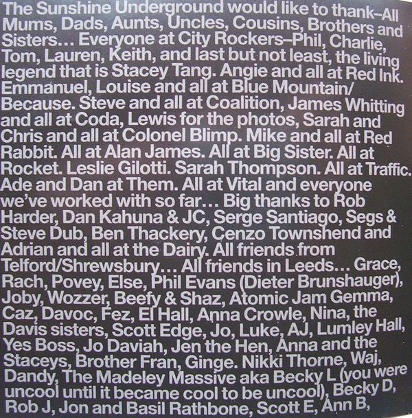 The Sunshine Underground : Raise The Alarm (CD, Album)