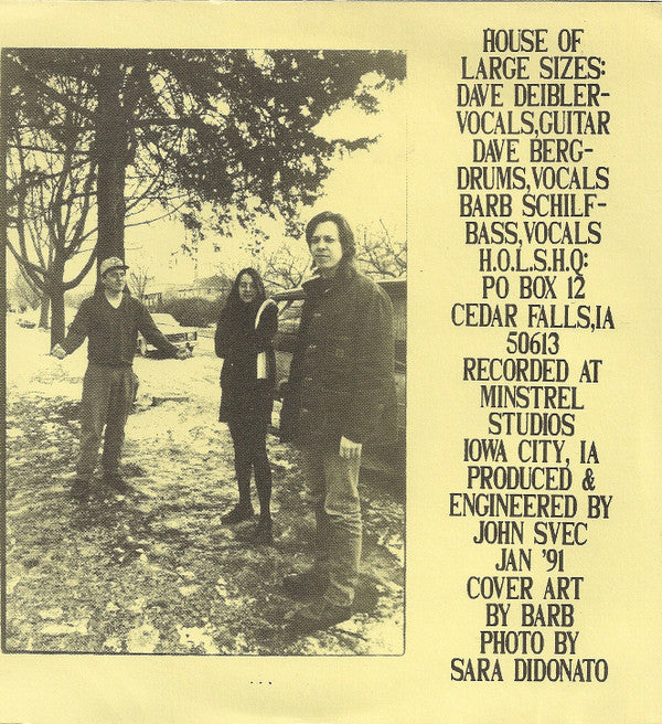 House Of Large Sizes / Treepeople : Bankrupt In Hoven / Neil's Down (7", Single)