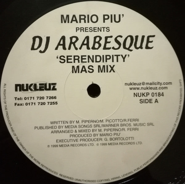 Mario Piu'* Presents DJ Arabesque : Serendipity (12")
