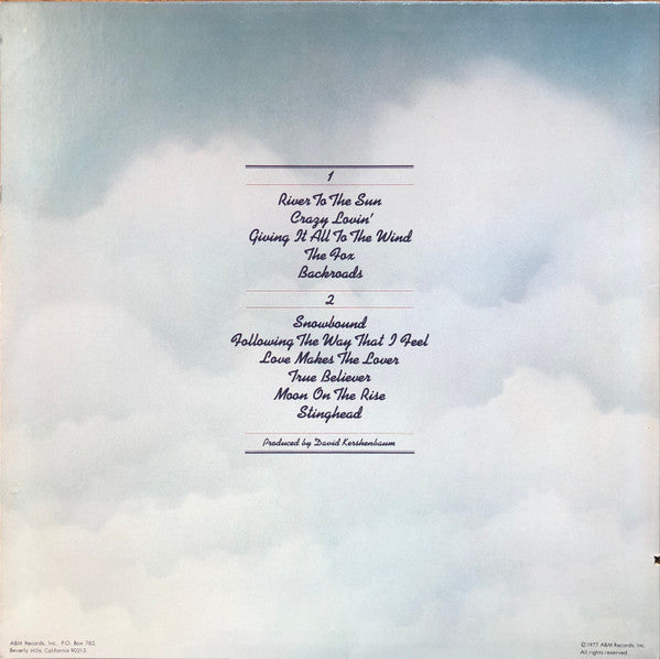 The Ozark Mountain Daredevils : Don't Look Down (LP, Album, Pit)