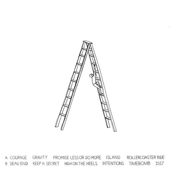 The Whitest Boy Alive : Rules (LP, Album)