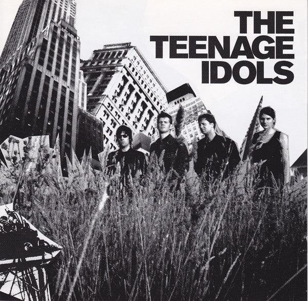 The Teenage Idols : The Teenage Idols (CD, Album)