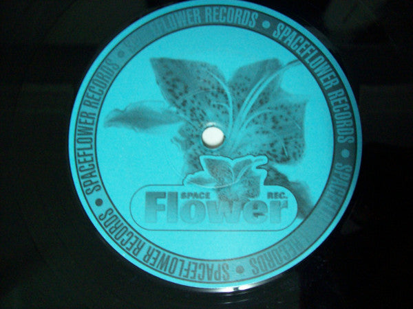 Ultimate (2) : It's Not A Shame (12")