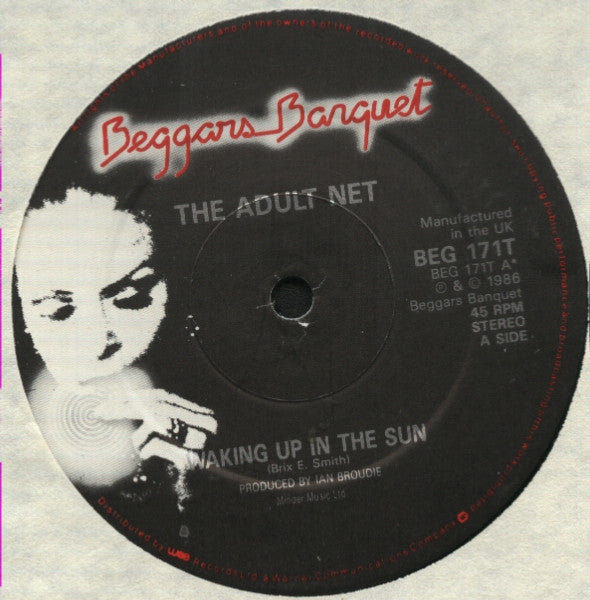 Adult Net : Waking Up In The Sun (12")
