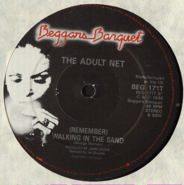 Adult Net : Waking Up In The Sun (12")