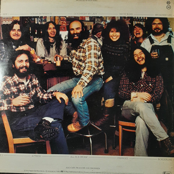 The Allen Harris Band : Oceans Between Us (LP, Album)