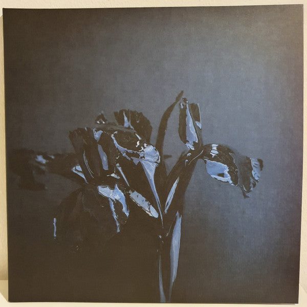 A Swarm Of The Sun : The Rifts (2xLP, Album, Ltd, RE, Blu)
